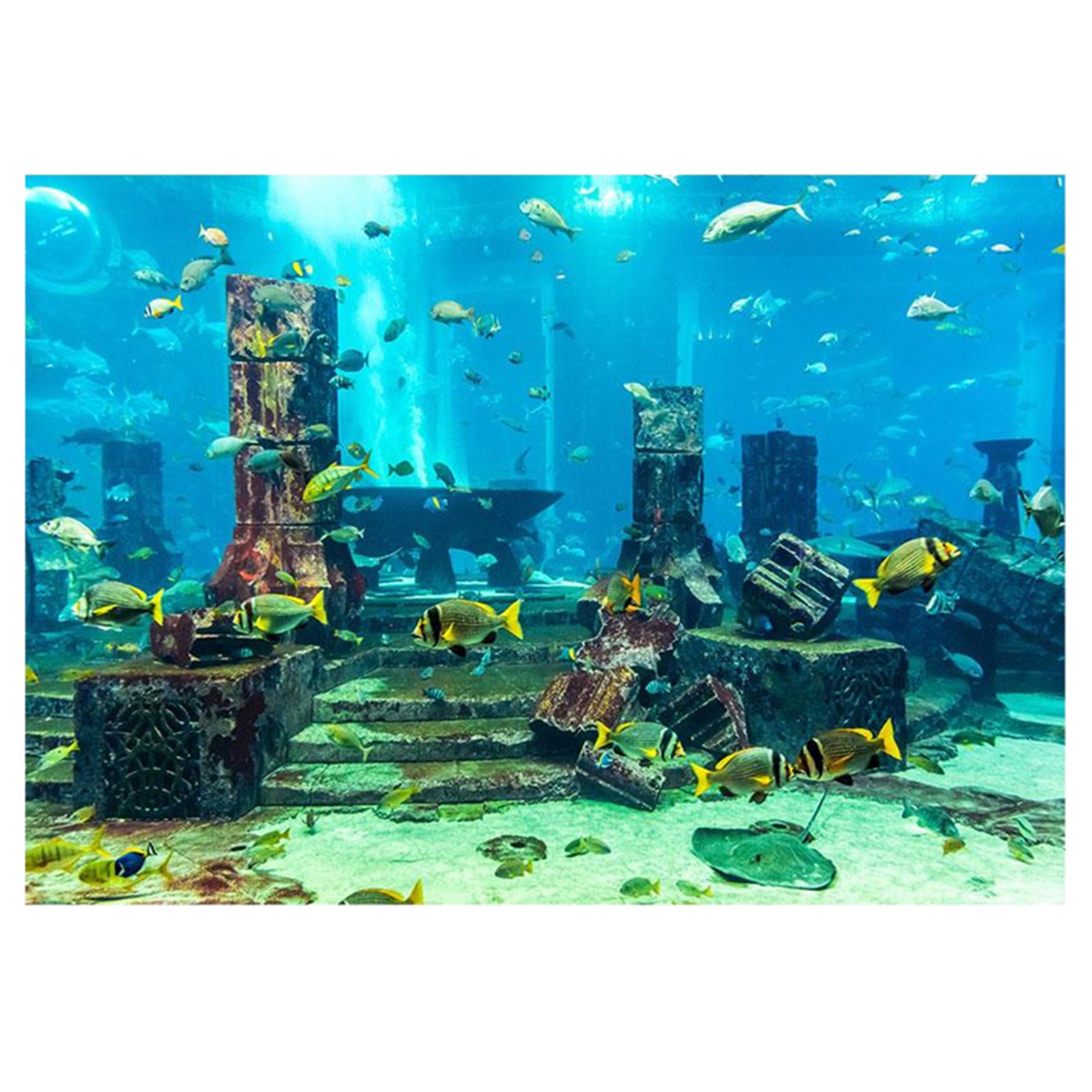 Aquarium Fish Poster - ZK20 Coral Aquarium พื้นหลังใต้น้ําโปสเตอร์ถังปลาผนังตกแต่งสติกเกอร์ 122x46 ซม