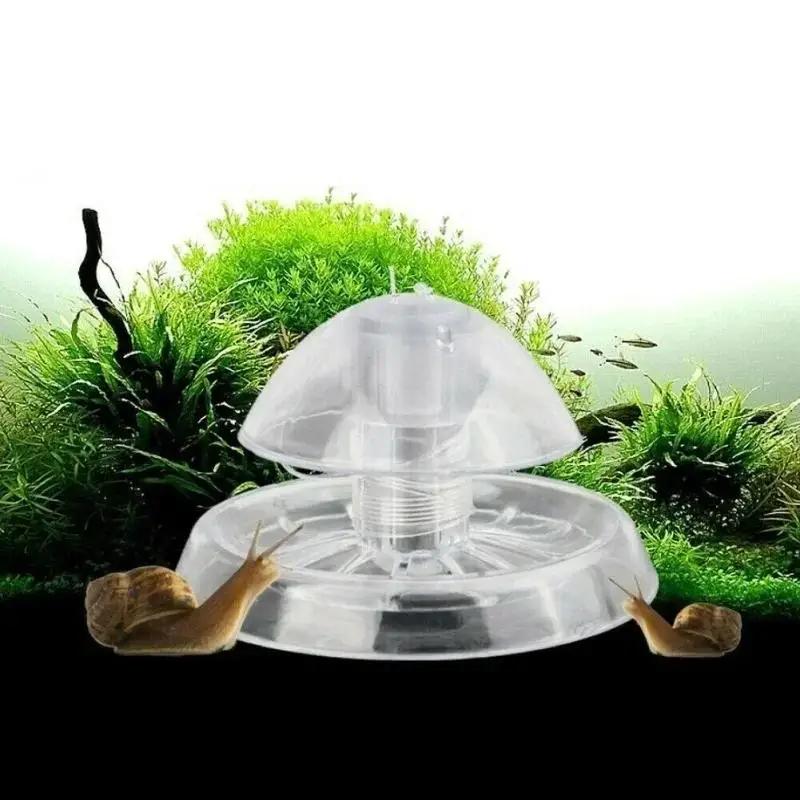 Aquarium Fish Photography - กับดักหอยทากพลาสติกใสขนาด 6/8 ซม. รุ่นใหม่ ปี 2026