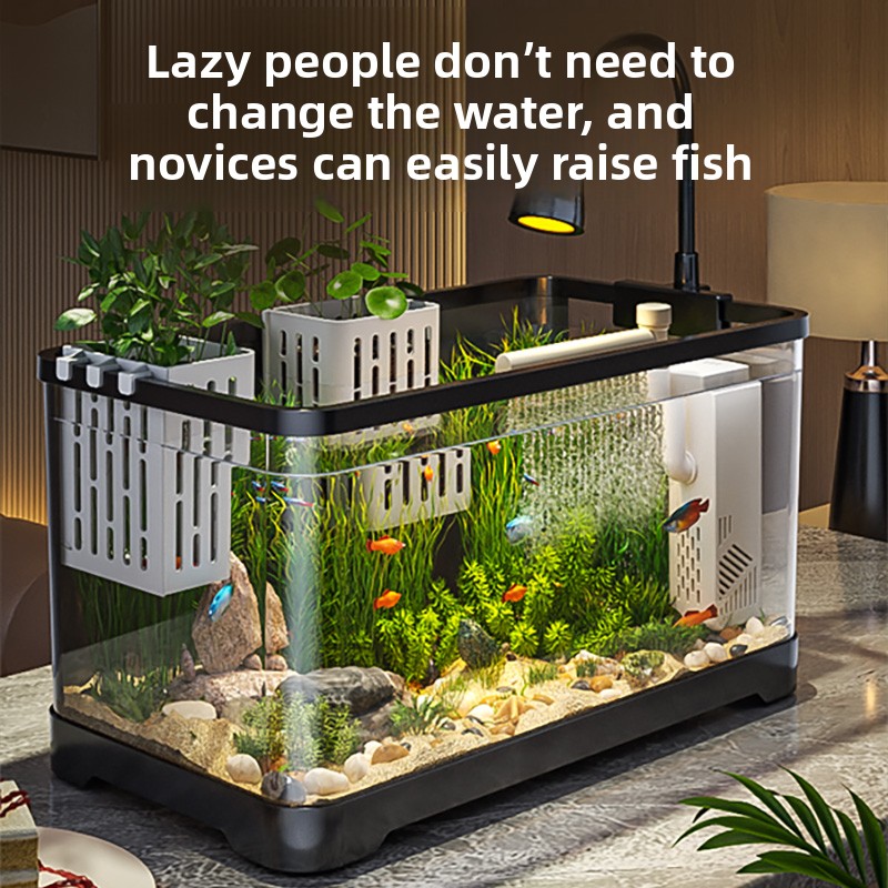All Fish In Aquarium - ระบบกรองน้ำและออกซิเจนแบบออลอินวันสำหรับตู้ปลาขนาดเล็ก ปี 2026 ระบบนิเวศน์ในห้องนั่งเล่น พร้อมตู้ปลาตกแต่งเต็มรูปแบบสำหรับปลาทอง