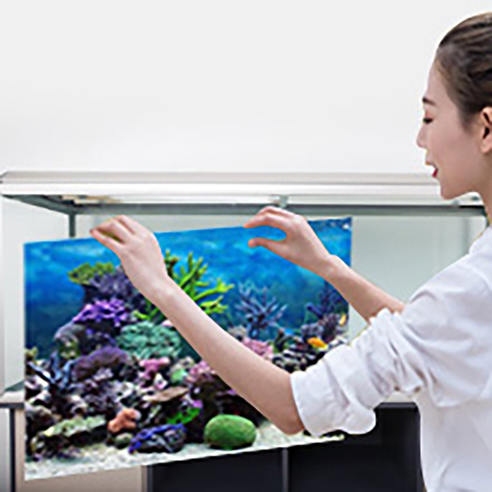 Aquarium Fish Poster - สติ๊กเกอร์ติดผนังตู้ปลา PVC แบบหนา ลายพื้นหลัง 3 มิติ