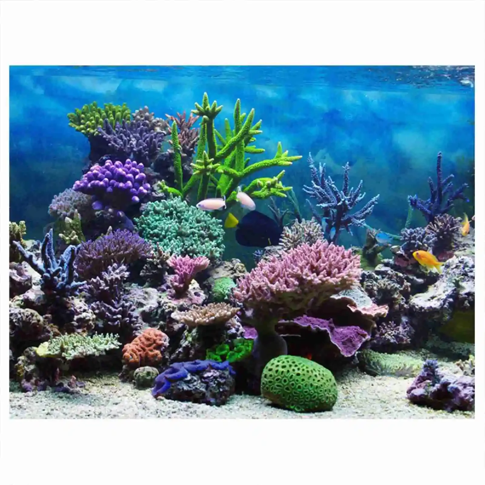 Aquarium Fish Poster - โปสเตอร์แนวนอนลายพิพิธภัณฑ์สัตว์น้ำ3D วอลเปเปอร์ลายป่าฝนตกแต่งพื้นหลังตู้ปลาด้วย PVC มีกาวในตัวสติกเกอร์ฉากหลังแบบ HD