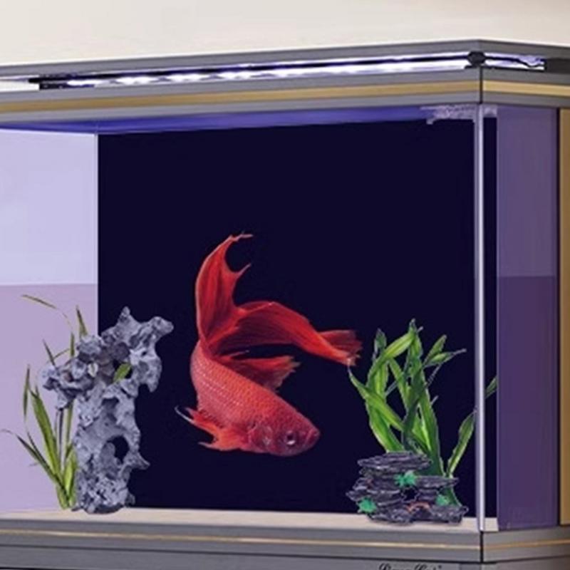 ภาพพื้นหลังตู้ปลาสีดำสติกเกอร์ - Aquarium Fish Poster บทวิจารณ์และราคา