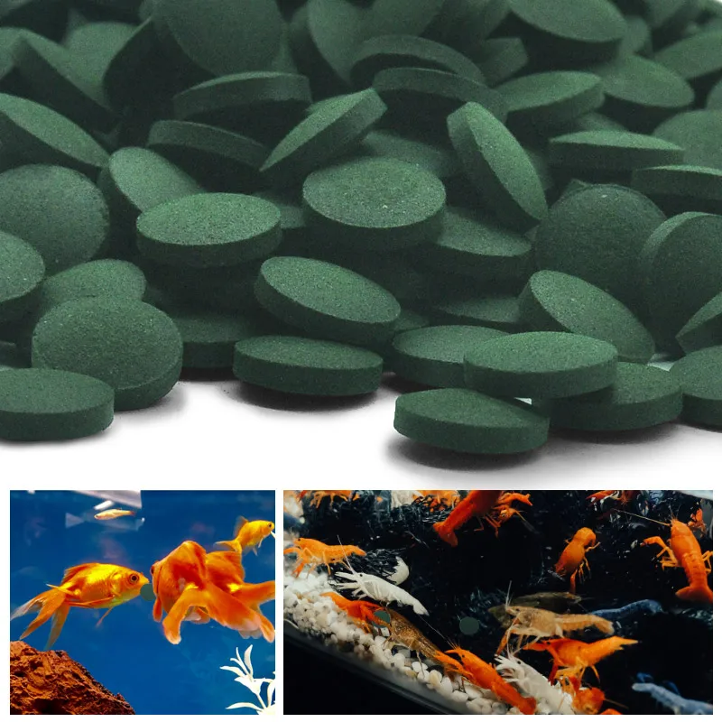 100pcs ความบริสุทธิ์สูงสาหร่าย - Aquarium Fish Vitamin บทวิจารณ์และราคา