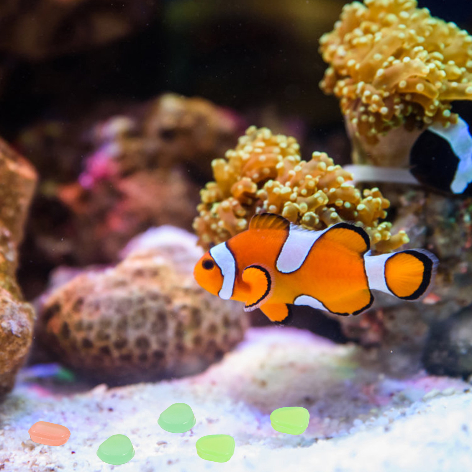 400 ชิ้น หินกรวดเรืองแสงในที่ม - Aquarium Fish Glow In The Dark บทวิจารณ์และราคา