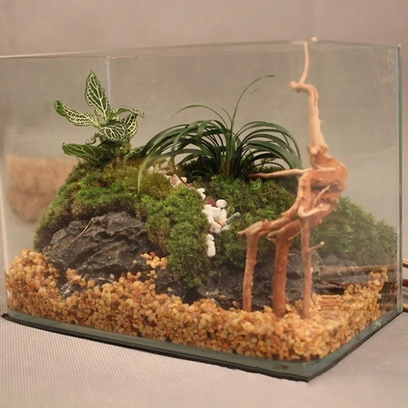ต้นไม้ธรรมชาติลำต้นไม้ดริฟท์วู - Aquarium Fish Cartoon บทวิจารณ์และราคา