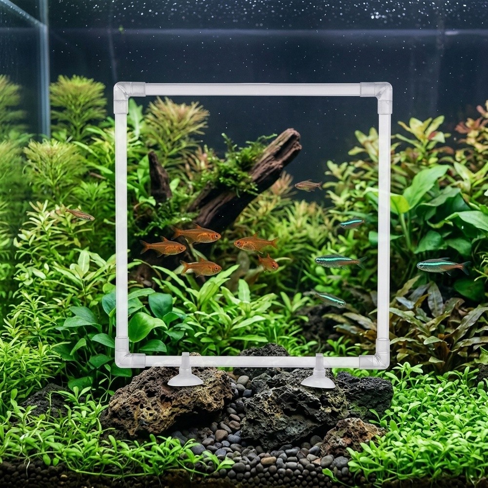 กระถางปลูกพืชน้ำแบบลอยน้ำสำหรั - Aquarium Fish Zone บทวิจารณ์และราคา