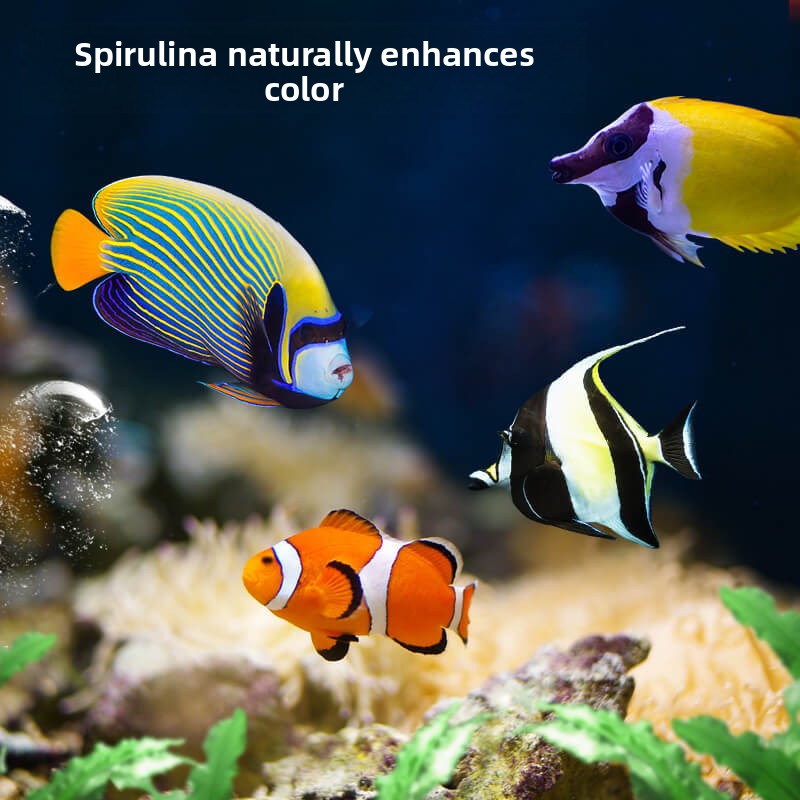 อาหารปลาดุกและปลาทัง DEERA |   - All Fish In Aquarium บทวิจารณ์และราคา