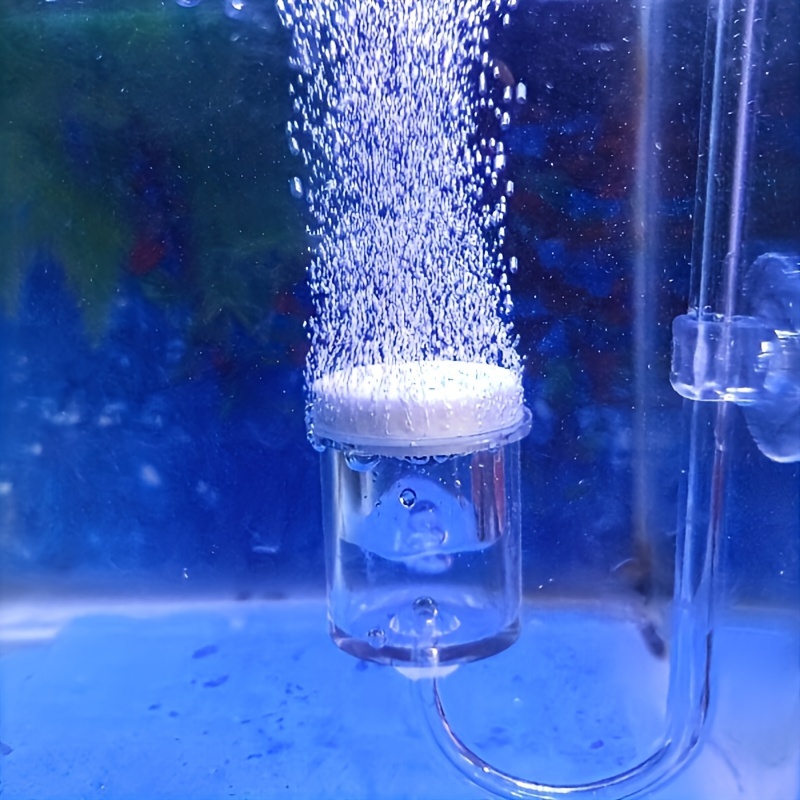 Aquarium Glass CO2 Atomizer Di - Aquarium Fish Photography บทวิจารณ์และราคา