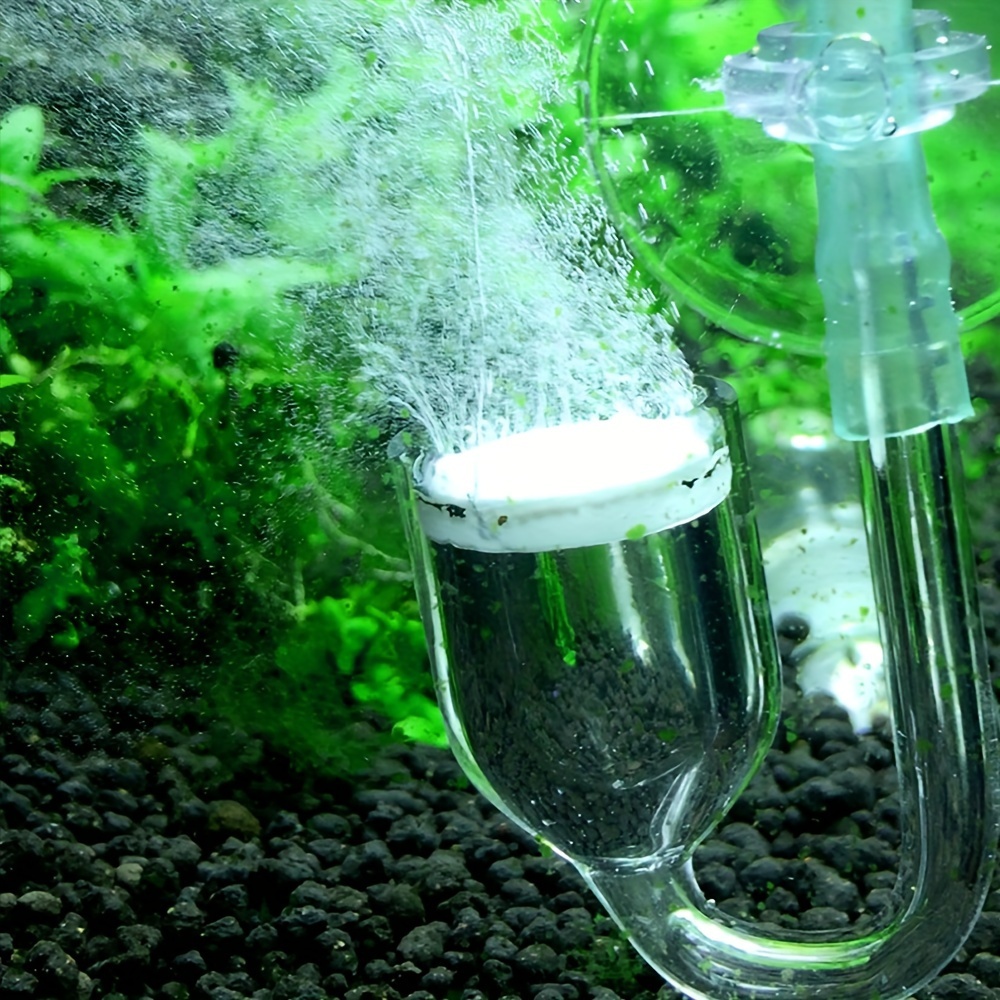 Aquarium Glass CO2 Atomizer Di - Aquarium Fish Photography บทวิจารณ์และราคา