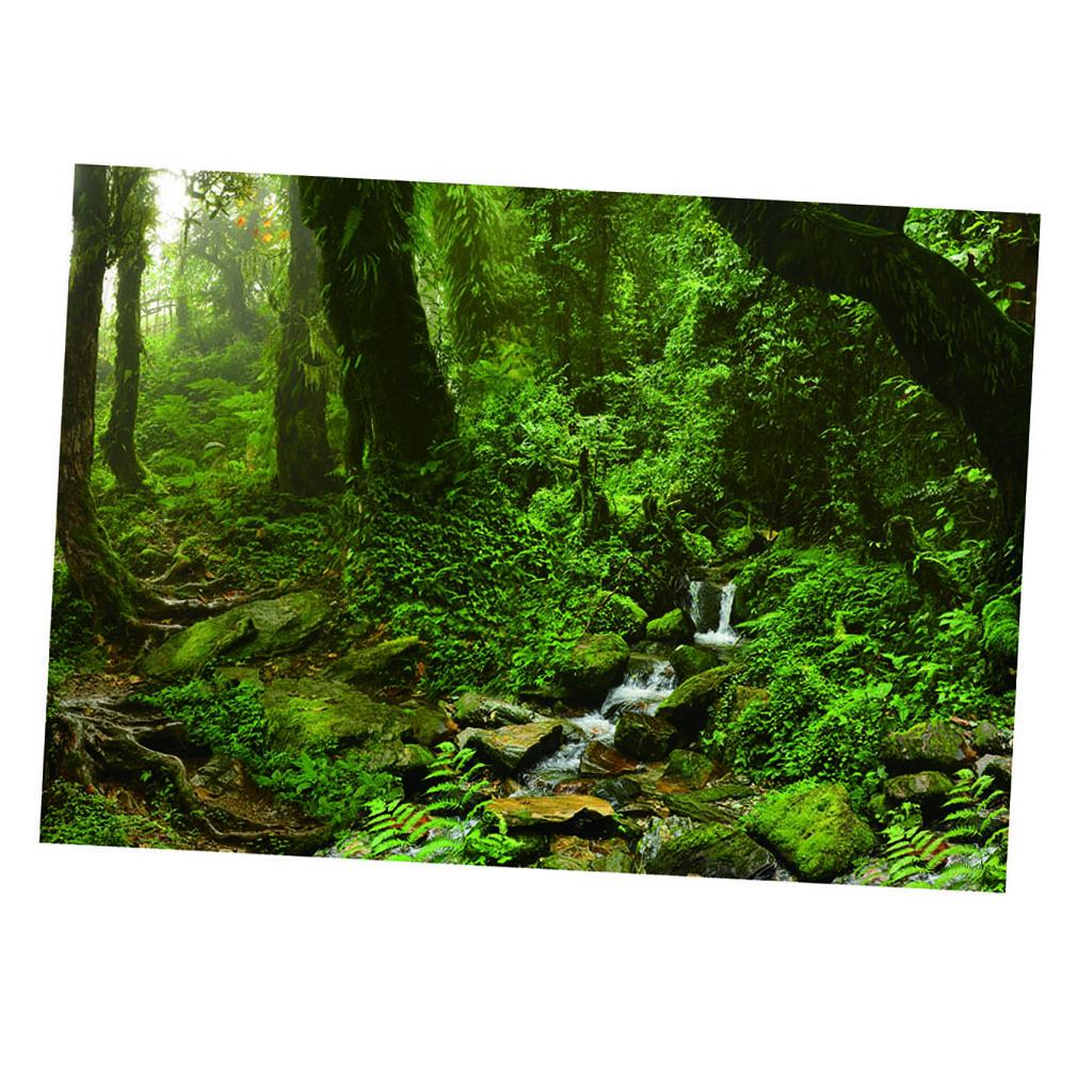 โปสเตอร์ฉากหลังตู้ปลาสีสันสดใส - Aquarium Fish Poster บทวิจารณ์และราคา