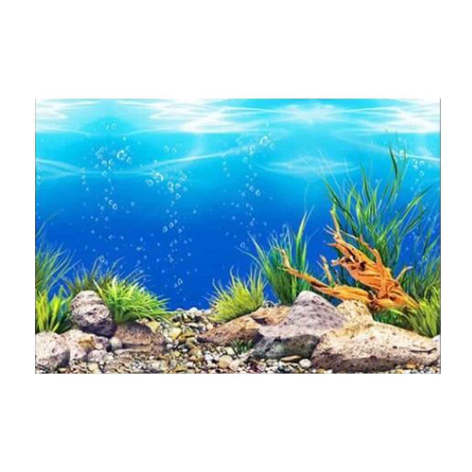 โปสเตอร์พื้นหลังตู้ปลาแบบ 3 มิ - Aquarium Fish Poster บทวิจารณ์และราคา