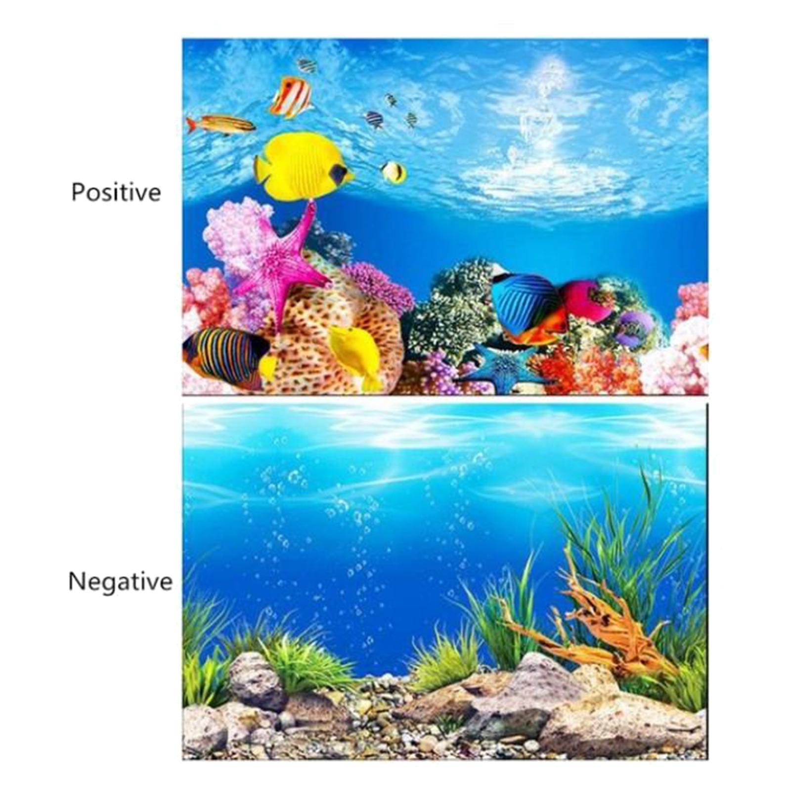 โปสเตอร์พื้นหลังตู้ปลาแบบ 3 มิ - Aquarium Fish Poster บทวิจารณ์และราคา
