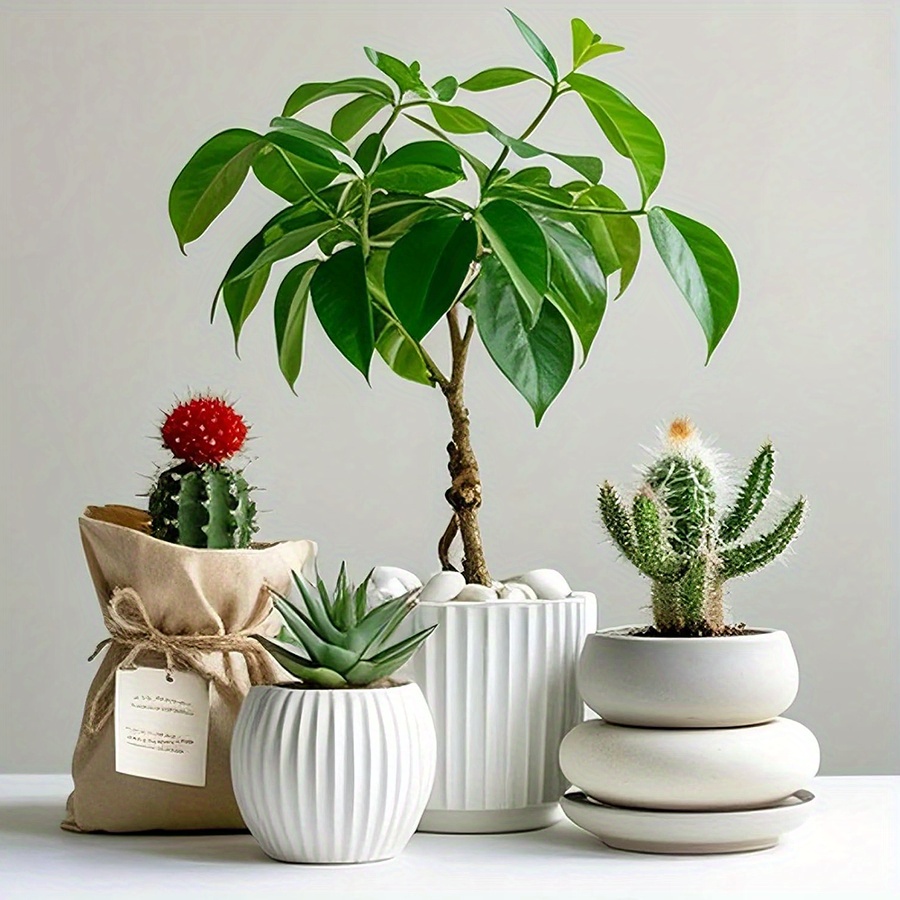 หินกรวดขัดเงาสีขาวธรรมชาติ ขนา - Aquarium Decoration Rock บทวิจารณ์และราคา