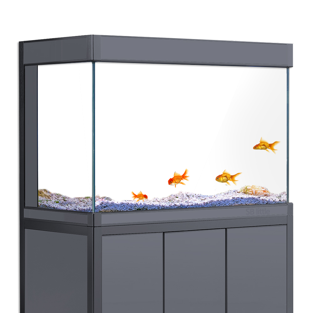 ฉากหลังตู้ปลาแบบติดด้วยไฟฟ้า ส - Aquarium Fish Poster บทวิจารณ์และราคา
