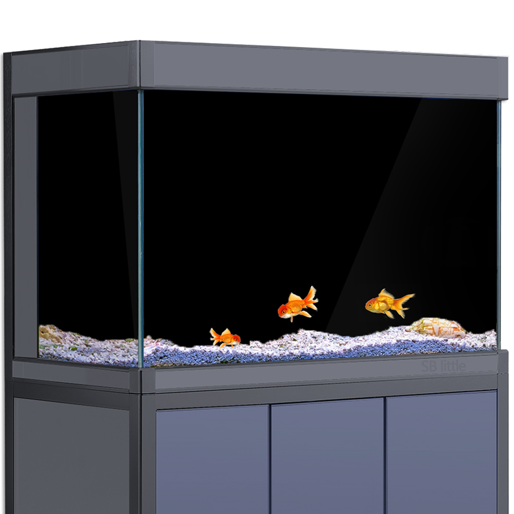 ฉากหลังตู้ปลาแบบติดด้วยไฟฟ้า ส - Aquarium Fish Poster บทวิจารณ์และราคา