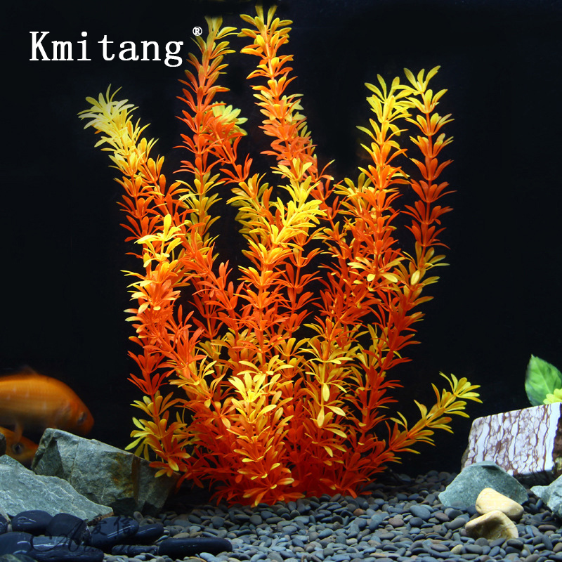 ต้นไม้เขตร้อนขนาด 100 ซม. หญ้า - Aquarium Fish Photography บทวิจารณ์และราคา