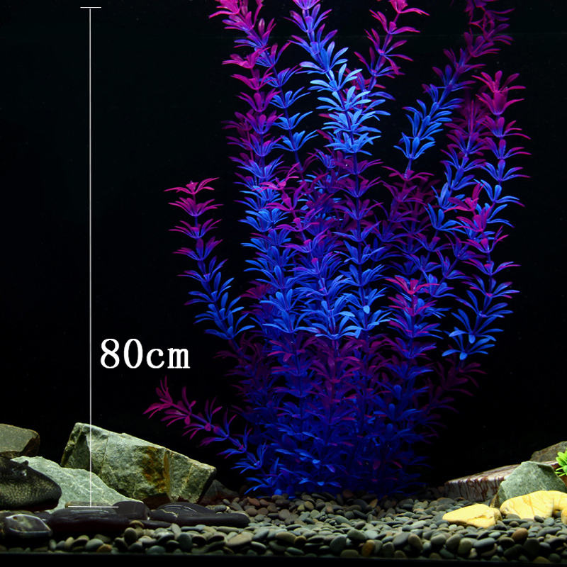 ต้นไม้เขตร้อนขนาด 100 ซม. หญ้า - Aquarium Fish Photography บทวิจารณ์และราคา