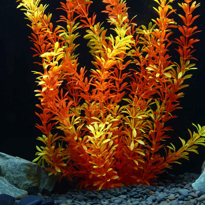 ต้นไม้เขตร้อนขนาด 100 ซม. หญ้า - Aquarium Fish Photography บทวิจารณ์และราคา