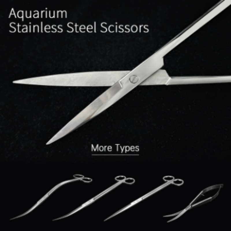 กรรไกรตัดแต่งพืชน้ำสแตนเลส Wee - Aquarium Fish Photography บทวิจารณ์และราคา