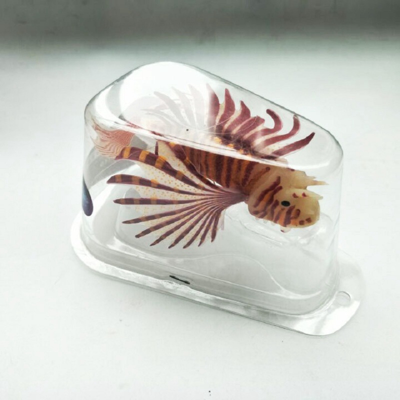 Novel and Funny Toy Fish Tank  - Aquarium Fish Exporter บทวิจารณ์และราคา