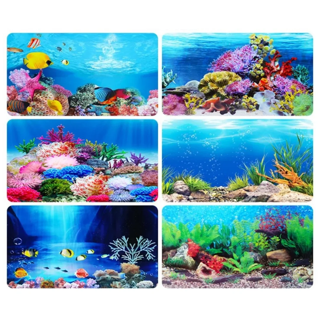 พื้นหลัง Aquarium 3D สติกเกอร์ - Aquarium Fish Cartoon บทวิจารณ์และราคา