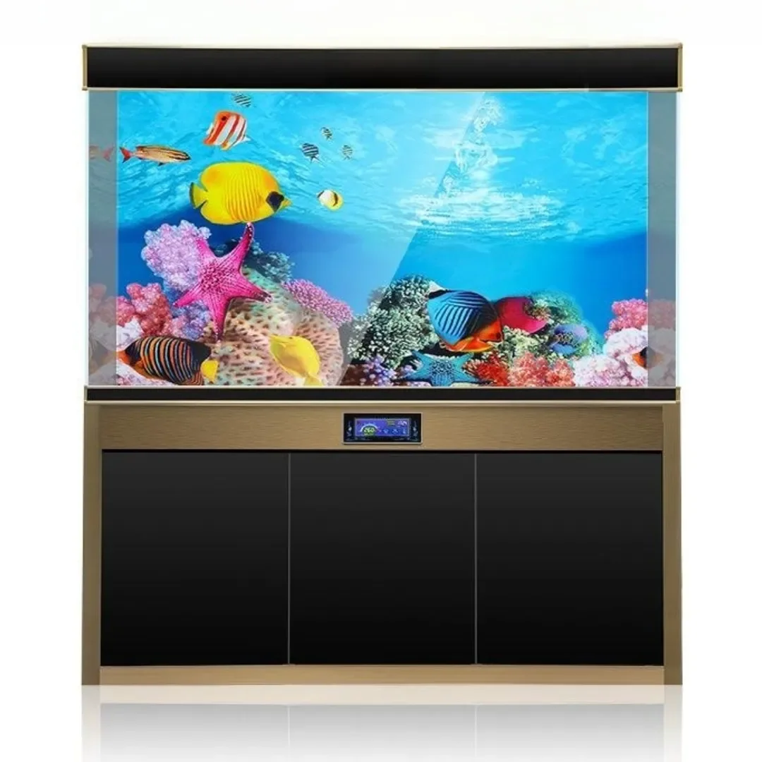 พื้นหลัง Aquarium 3D สติกเกอร์ - Aquarium Fish Cartoon บทวิจารณ์และราคา