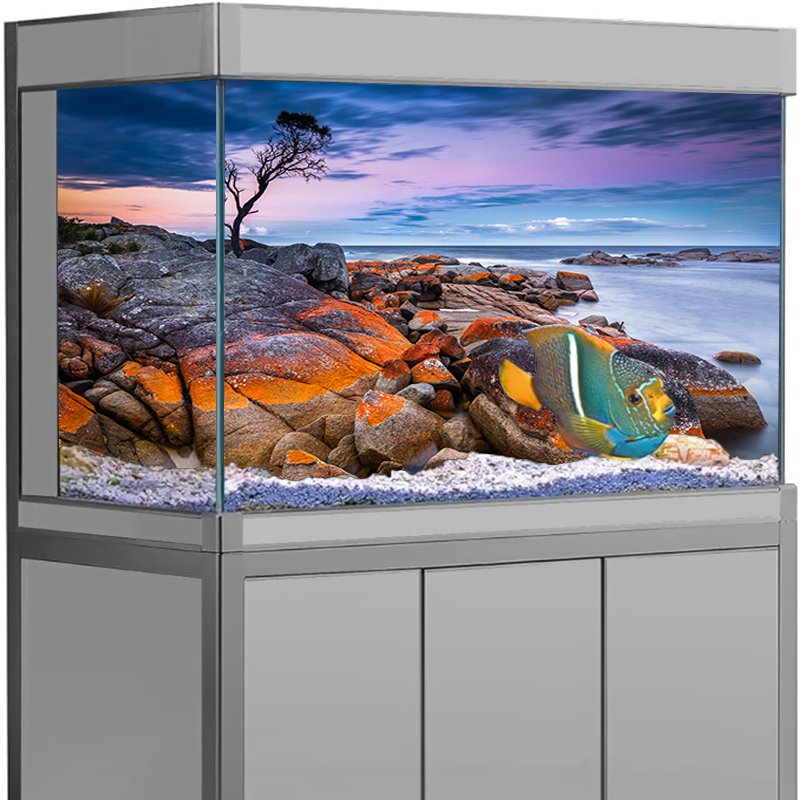 สติ๊กเกอร์ติดฉากหลังตู้ปลา ลาย - Aquarium Fish Poster บทวิจารณ์และราคา