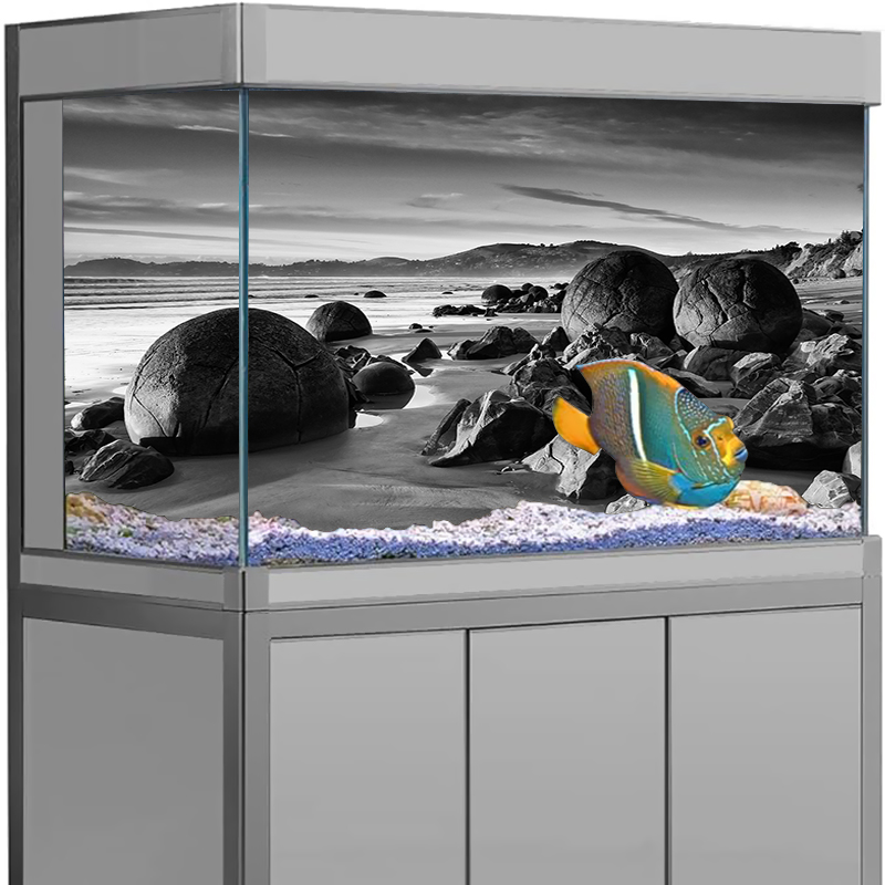 สติ๊กเกอร์ติดฉากหลังตู้ปลา ลาย - Aquarium Fish Poster บทวิจารณ์และราคา