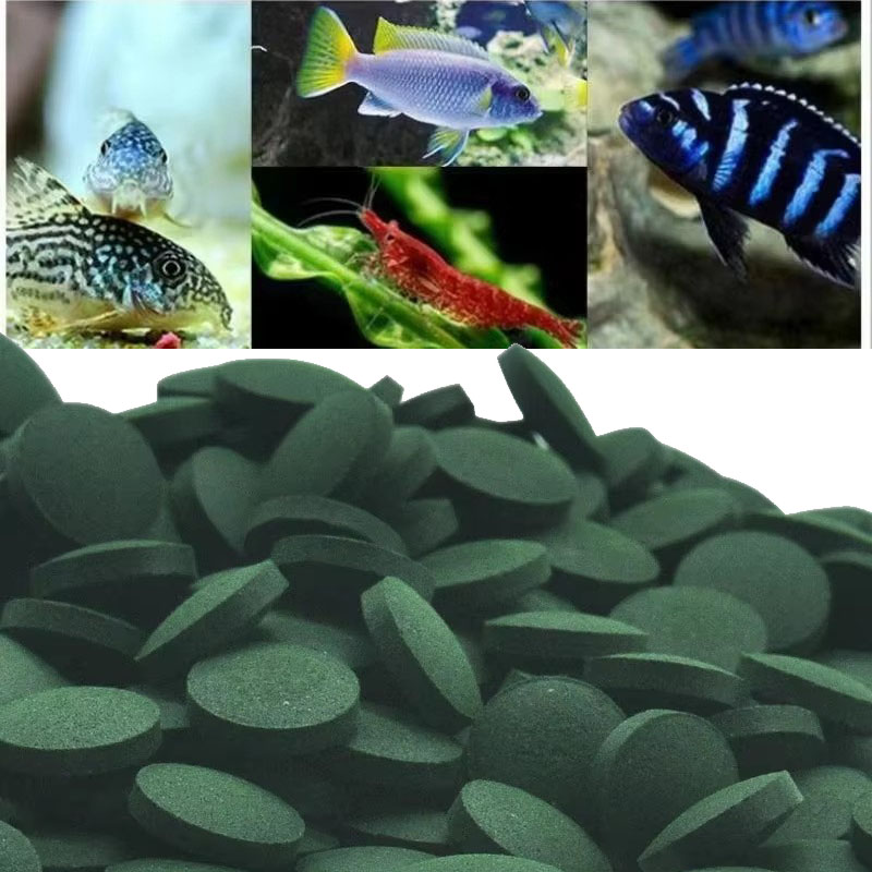 เม็ดสาหร่ายสไปรูลิน่า 50/100/3 - Aquarium Fish Vitamin บทวิจารณ์และราคา