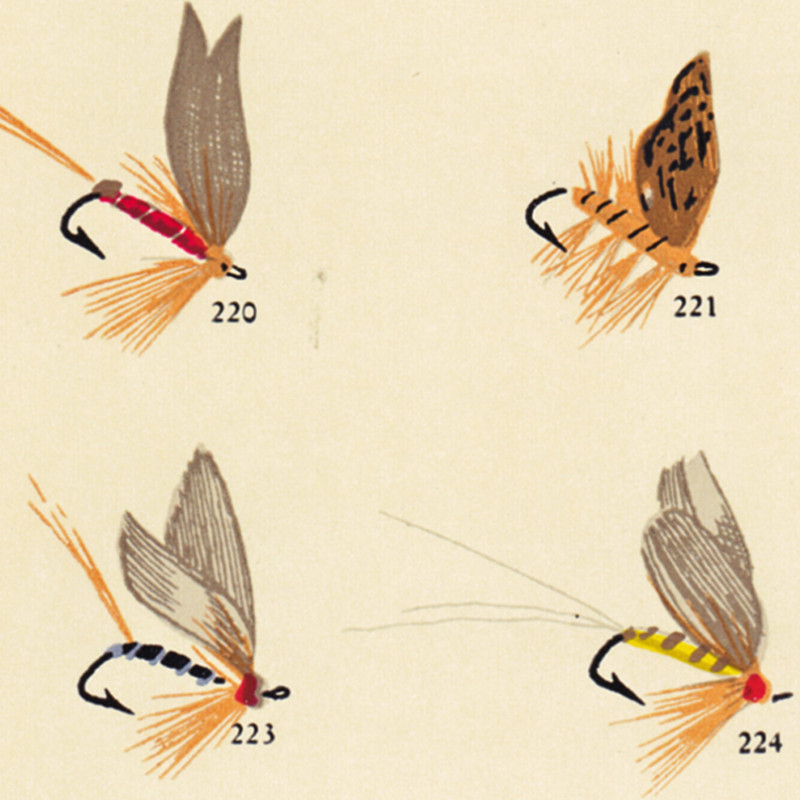 Vintage Fly Fishing Lure โปสเต - Aquarium Fish Poster บทวิจารณ์และราคา