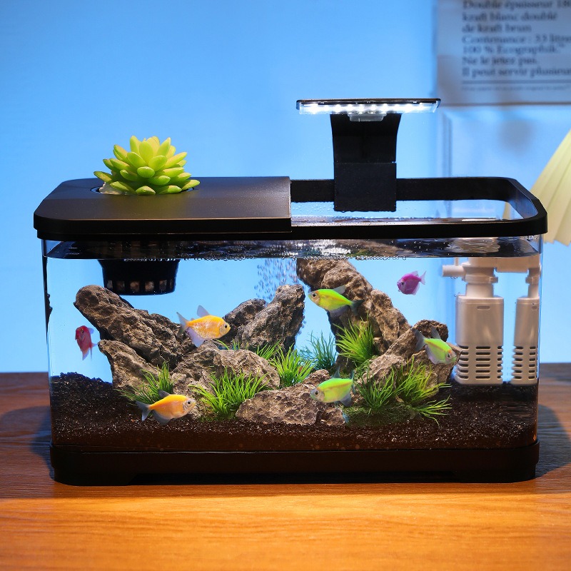 ตู้ปลาตั้งโต๊ะพร้อมระบบกรองน้ำ - Fish Tank Filter บทวิจารณ์และราคา