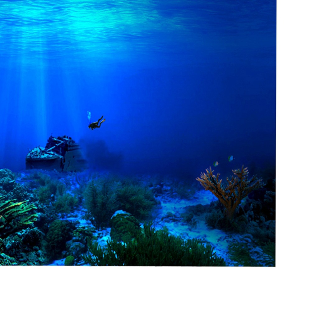 สติ๊กเกอร์ติดผนังตู้ปลา PVC แบ - Aquarium Fish Poster บทวิจารณ์และราคา