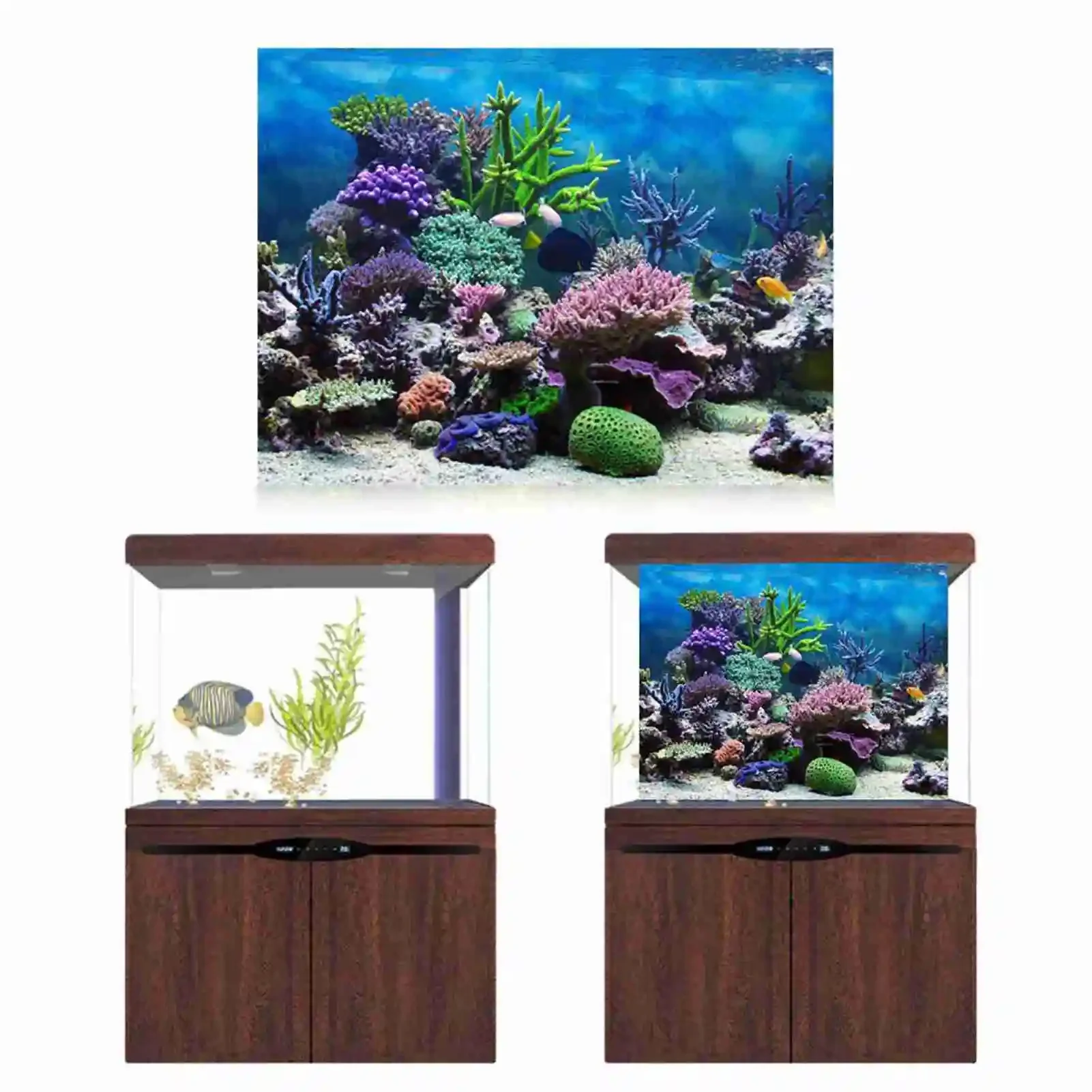 โปสเตอร์แนวนอนลายพิพิธภัณฑ์สัต - Aquarium Fish Poster บทวิจารณ์และราคา