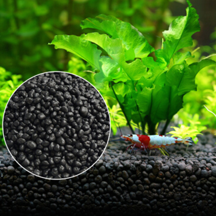 พิพิธภัณฑ์สัตว์น้ำเมล็ดพืชดิน  - Aquarium Fish Photography บทวิจารณ์และราคา