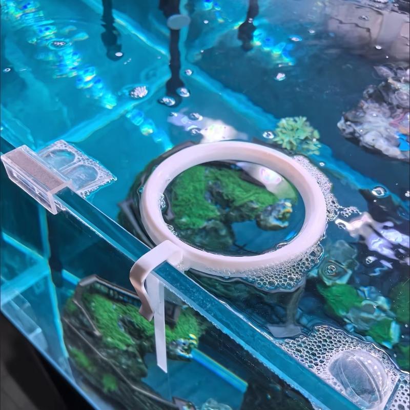 วงแหวนป้อนอาหารป้องกันการกระจา - All Fish In Aquarium บทวิจารณ์และราคา