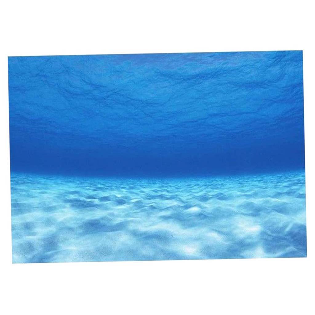 สติ๊กเกอร์ติดผนังตกแต่งตู้ปลา  - Aquarium Fish Poster บทวิจารณ์และราคา