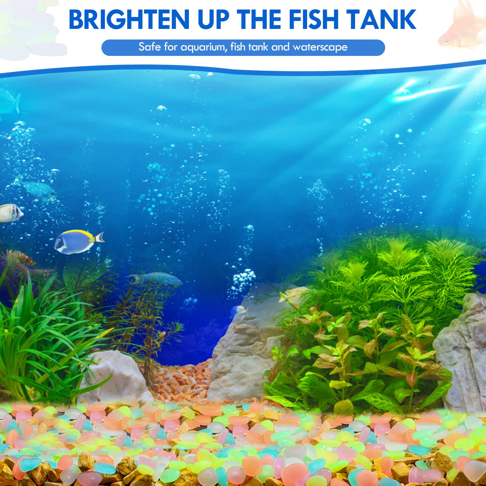 100 ชิ้น Glow in the Dark Gard - Aquarium Fish Glow In The Dark บทวิจารณ์และราคา