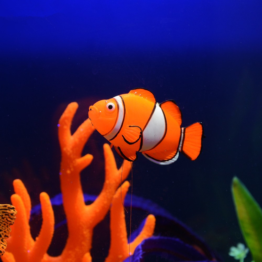 ปลาซิลิโคนเรืองแสงในที่มืด ของ - Aquarium Fish Glow In The Dark บทวิจารณ์และราคา