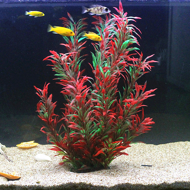 50 ซม.ถังปลาประดิษฐ์พืชหายากAq - Aquarium Fish Photography บทวิจารณ์และราคา