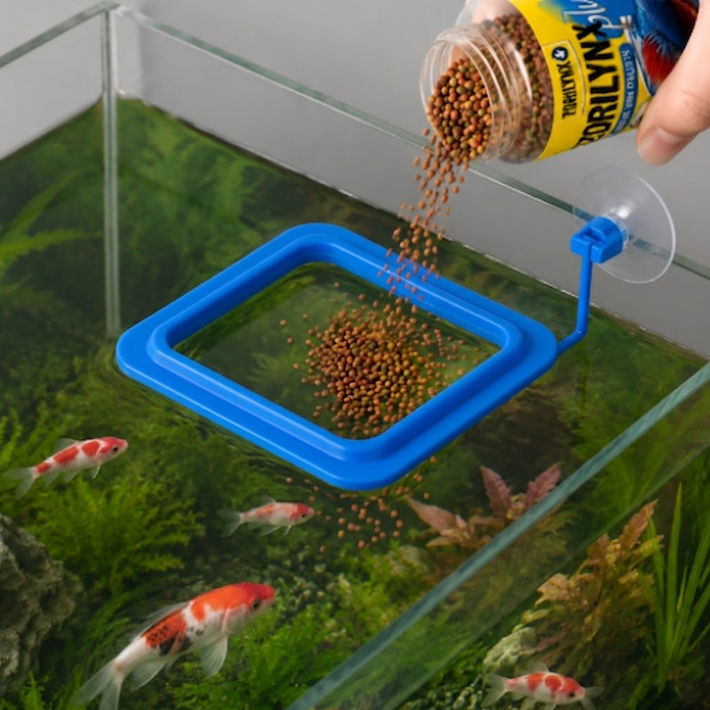 อาหารปลาเม็ดพร้อมชุดวงแหวนลอยน - Aquarium Fish Vitamin บทวิจารณ์และราคา