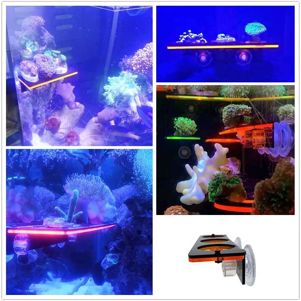 เรืองแสง Coral Frag ปลั๊กยึดปล - Aquarium Fish Cartoon บทวิจารณ์และราคา