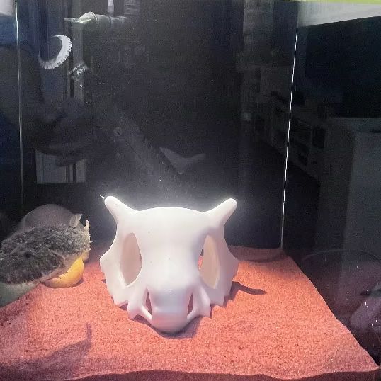 ที่ซ่อนตัวรูปทรงปลา กุ้ง หรือส - Aquarium Fish Cartoon บทวิจารณ์และราคา