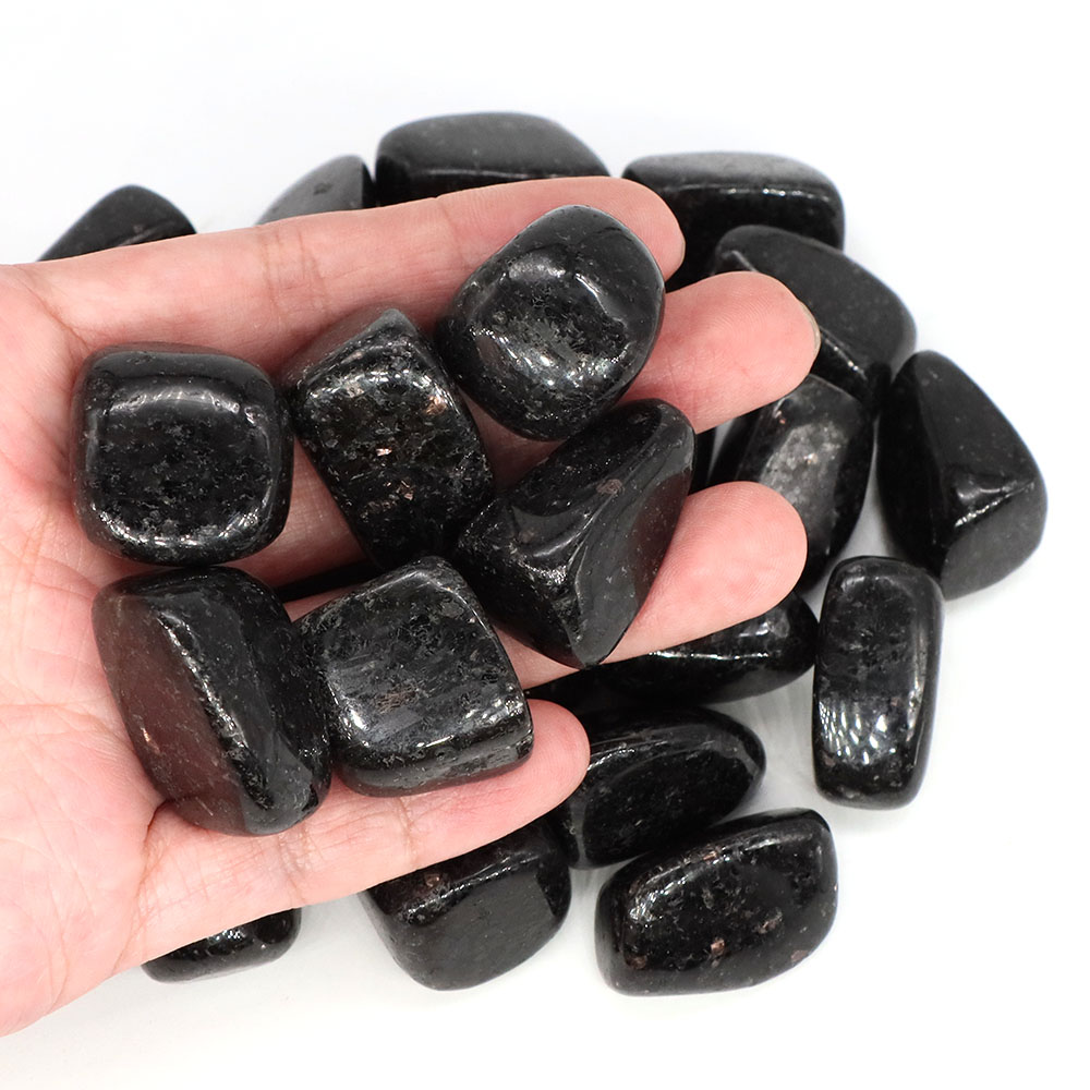 หินกรวดธรรมชาตินูไมท์หินธรรมชา - Aquarium Decoration Rock บทวิจารณ์และราคา