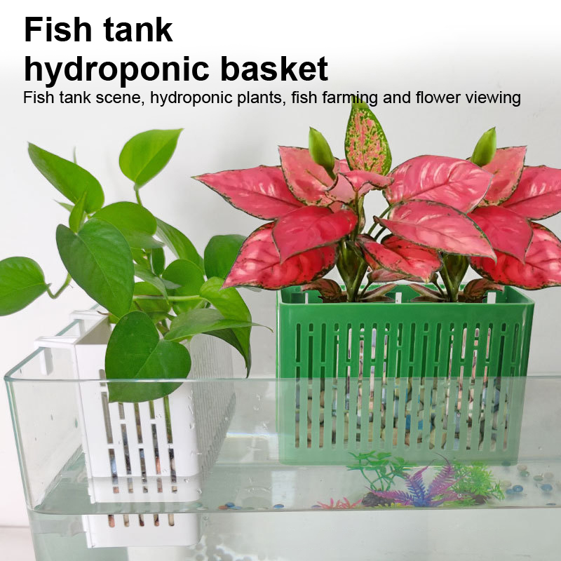 【F】กระถางแขวนตู้ปลา ที่วางต้นไ - Aquarium Fish Photography บทวิจารณ์และราคา