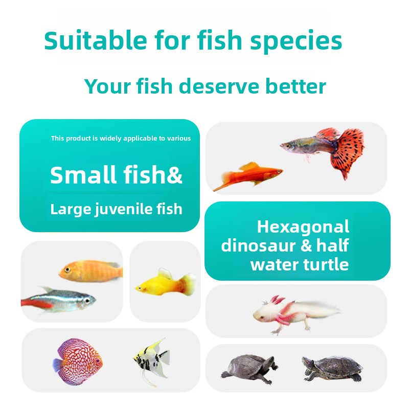 ตงหยู่เจียง อาหารแมลงวันน้ำแห้ - Aquarium Fish Vitamin บทวิจารณ์และราคา