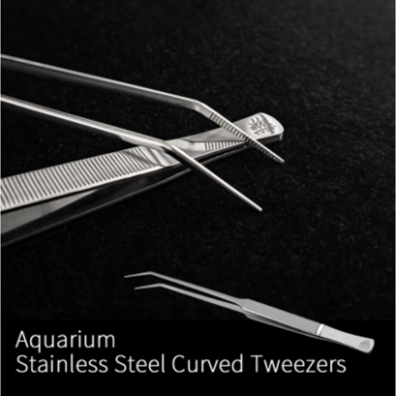 แหนบปลูกต้นไม้ในตู้ปลาสแตนเลส  - Aquarium Fish Photography บทวิจารณ์และราคา